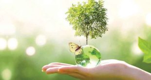 পরিবেশবান্ধব: সহজ ও কার্যকর জীবনযাত্রার টিপস