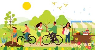 প্রকৃতির সাথে মিল রেখে জীবনযাপনের ১৫টি টিপস